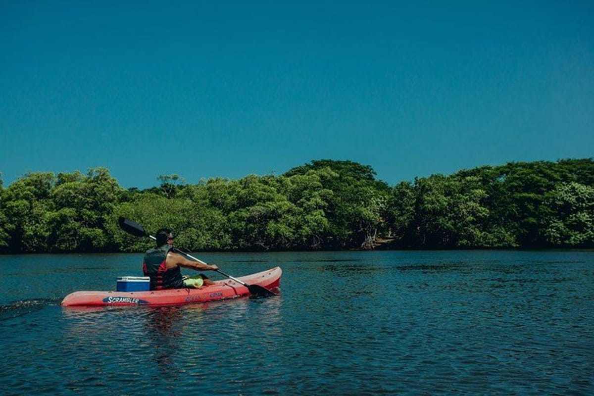 Tamarindo Kayak Estuary Mangrove Tour - - Native's Way Costa Rica Tours & Packages 